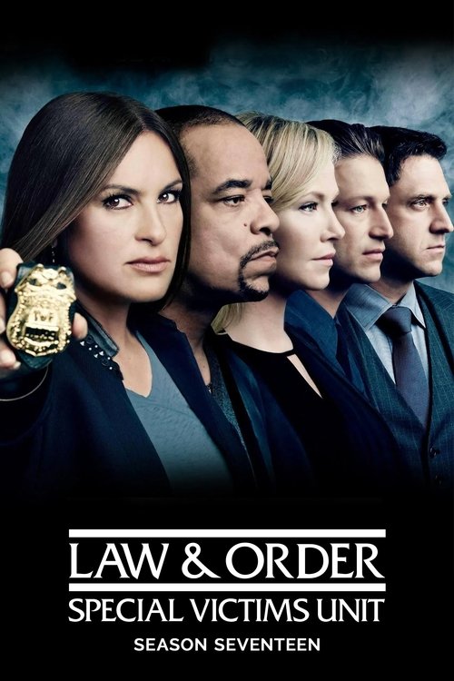 Law & Order: Special Victims Unit - Season 17 Poster
