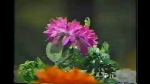 Pili S6E10 - Episode 10