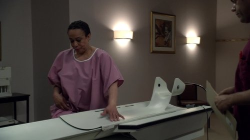 Law & Order S20E23 - Rubber Room