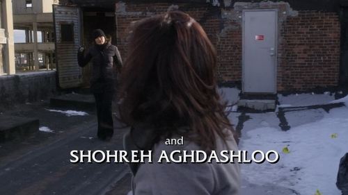 Law & Order: Special Victims Unit S12E14 - Dirty