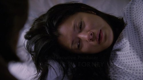 Law & Order: Special Victims Unit S10E10 - Smut