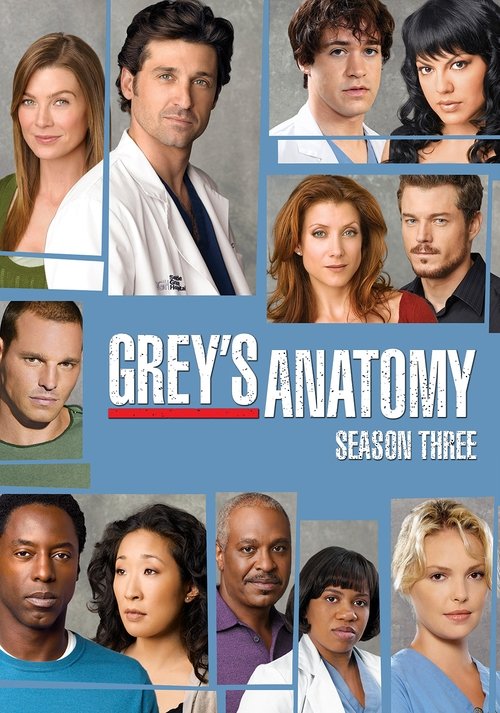 Grey's Anatomy - Season 3 Poster