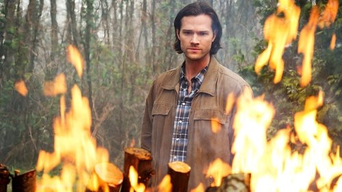 Supernatural S10E22 - The Prisoner