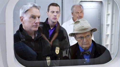 NCIS S13E14 - Decompressed