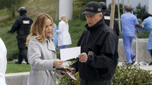 NCIS S16E19 - Perennial