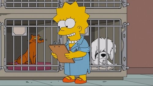 The Simpsons S27E15 - Lisa the Veterinarian