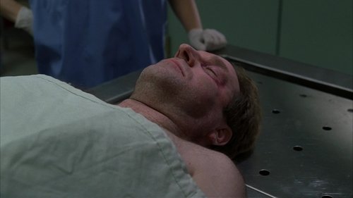 Law & Order S15E16 - The Sixth Man