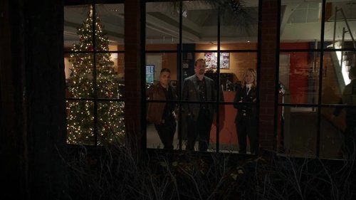 NCIS S17E10 - The North Pole