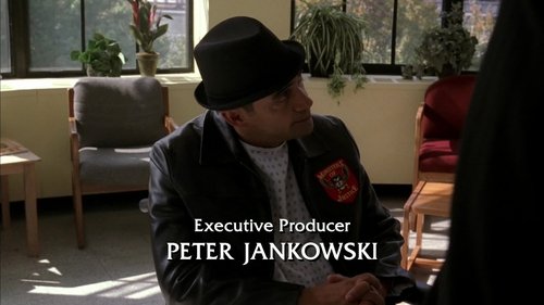 Law & Order S15E8 - Cry Wolf