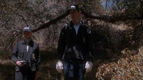 NCIS S13E6 - Viral
