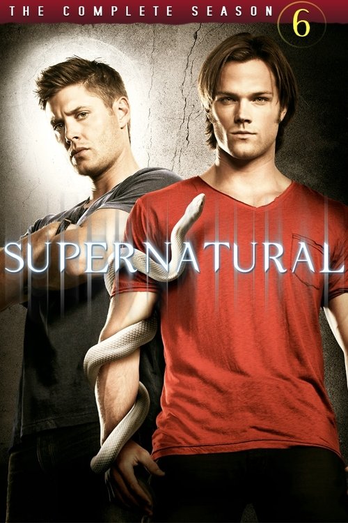 Supernatural - Season 6 Poster