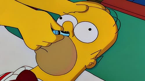 The Simpsons S12E9 - HOMЯ