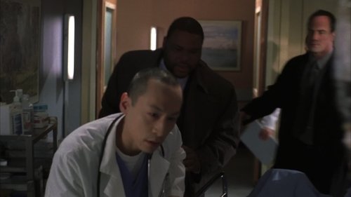 Law & Order: Special Victims Unit S7E20 - Fat