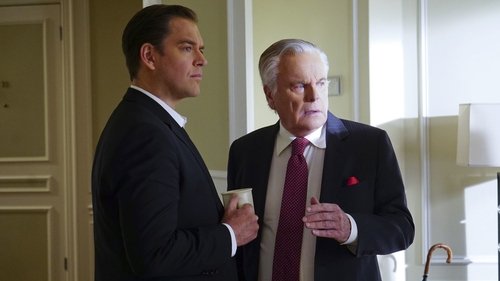 NCIS S13E19 - Reasonable Doubts