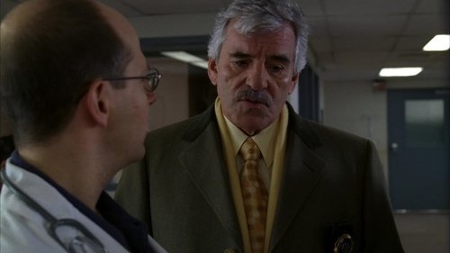 Law & Order S15E14 - Fluency