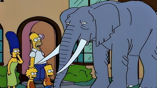 The Simpsons S5E17 - Bart Gets an Elephant