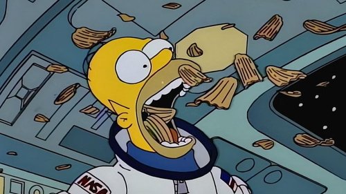 The Simpsons S5E15 - Deep Space Homer