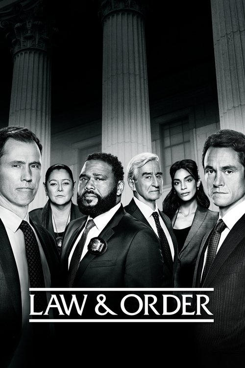 Law & Order - Season 21 Poster