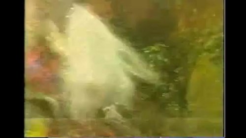 Pili S6E21 - Episode 21