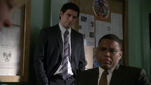 Law & Order S20E15 - Brilliant Disguise