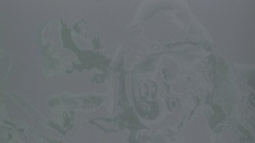 Law & Order: Special Victims Unit S13E3 - Blood Brothers