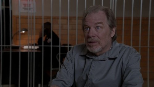 Law & Order: Special Victims Unit S13E13 - Father's Shadow