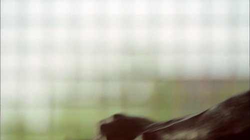 Prison Break S3E3 - Call Waiting