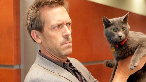 House S5E18 - Here Kitty