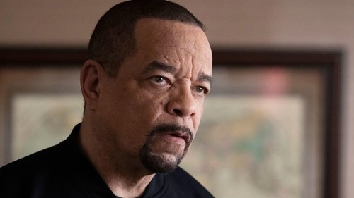 Law & Order: Special Victims Unit S25E10 - Combat Fatigue