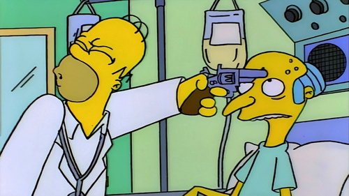 The Simpsons S7E1 - Who Shot Mr. Burns? (2)