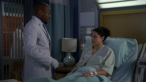 House S3E20 - House Training