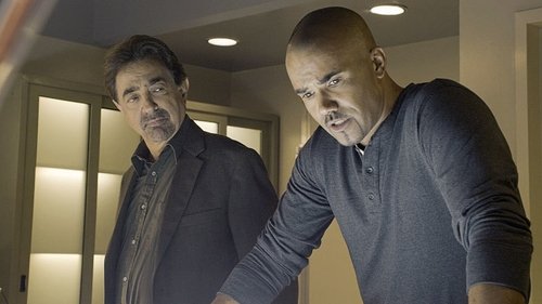 Criminal Minds S10E14 - Hero Worship