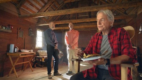 NCIS S16E4 - Third Wheel